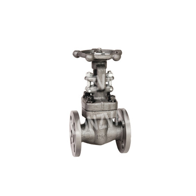 【鍛鋼閘閥F-DN15】?jī)r(jià)格,廠家,圖片,閥門,浙江隆成閥門-